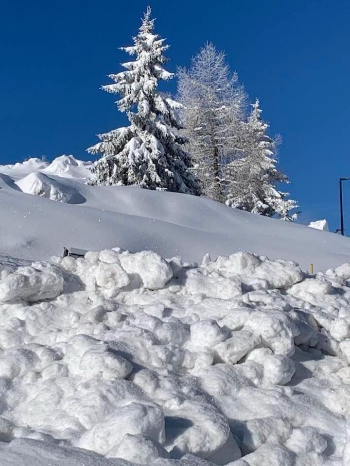 White Home Tonale Passo del Tonale Exterior photo